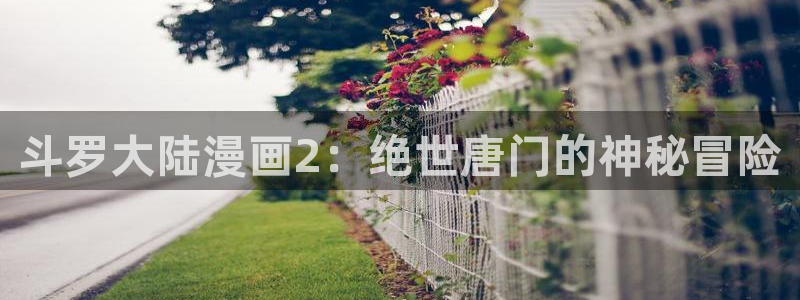 万相之王漫画免费下拉式六漫画80